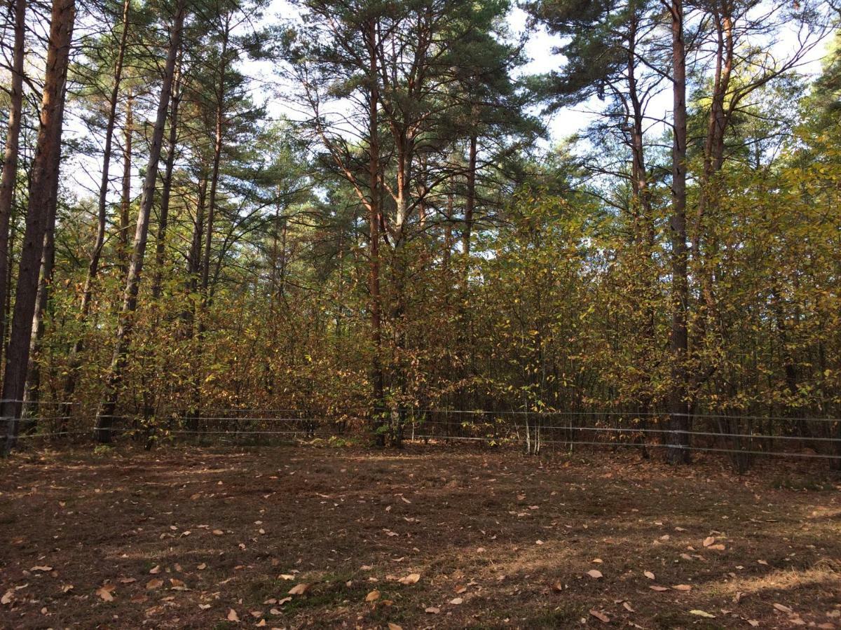 A La Campagne Chaumont-sur-Tharonne